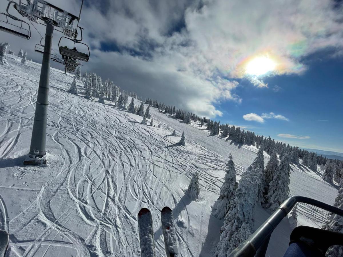 Апартаменты Pano Kopaonik Panorama Экстерьер фото